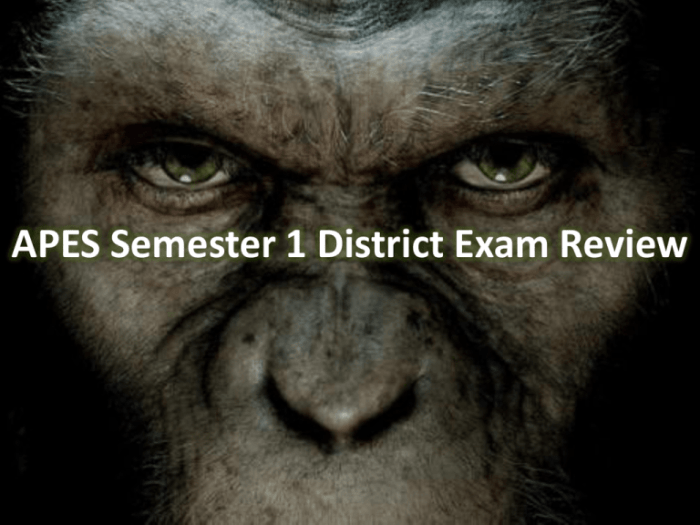 Apes semester 1 final exam