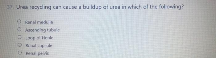 Urea recycling can cause a buildup of urea in the